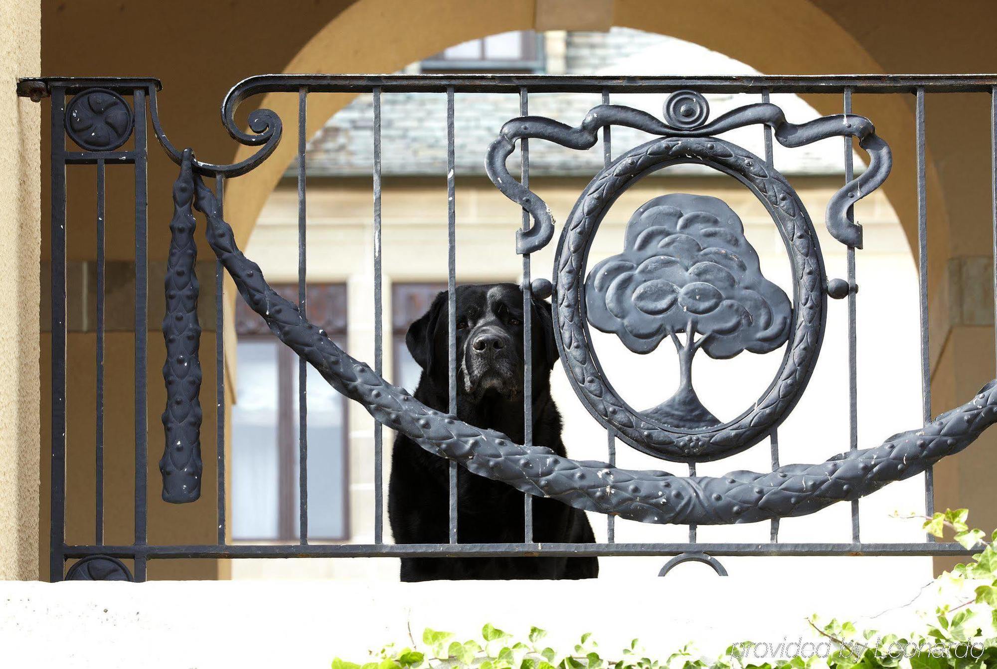 Oheka Castle Hotel & Estate Huntington Zewnętrze zdjęcie